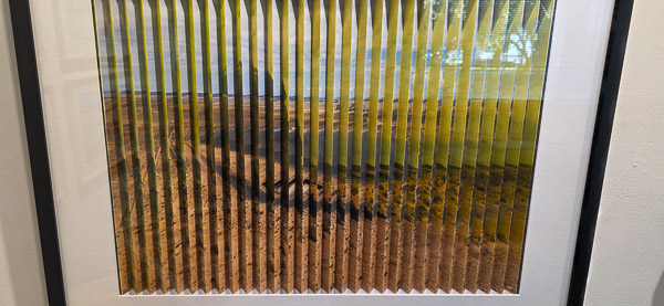 Photographer's Eye Gallery